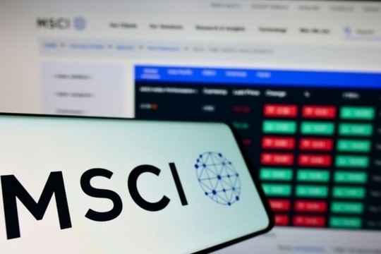 HPG và VHM lọt top 10 cổ phiếu có tỷ trọng cao nhất trong MSCI Frontier Index