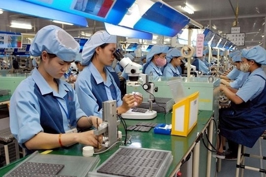 Chính phủ ban hành Nghị định 19/2025/NĐ-CP quy định chi tiết Luật Đầu tư về thủ tục đầu tư đặc biệt