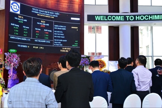 Giải mã phiên bùng nổ của cổ phiếu GEE (Gelex Electric)