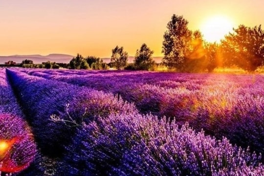 Cổ phiếu Khoáng sản Bắc Kạn (BKC) khai xuân “tưng bừng”