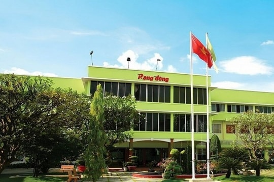 Rạng Đông Holding tiếp tục bị HOSE nhắc nhở vì chậm nộp báo cáo tài chính