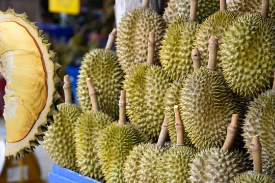 Giá sầu riêng hôm nay 14/2/2025: Hồi phục tích cực, sầu riêng Thái cao nhất