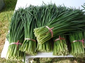 Được cổ nhân gọi là "tiên dược", loại rau này có sức mạnh ngăn ngừa ung thư vô cùng kỳ diệu