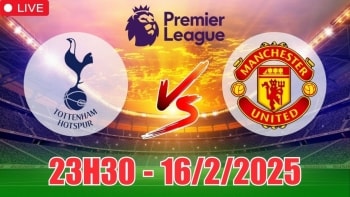Nhận định Tottenham vs MU (23h30, 16/2) bóng đá Ngoại hạng Anh 2025: 'Quỷ đỏ' có điểm mang về