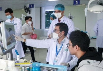 Từ 2025: Loạt ngành học này sẽ được miễn học phí 100%, sinh viên còn nhận trợ cấp sinh hoạt