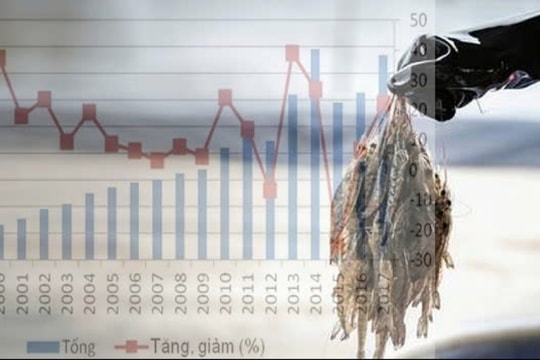 "Kho báu" dưới biển của Việt Nam "hái vàng" tại Trung Quốc, xuất khẩu tăng đột biến, vượt cả Mỹ