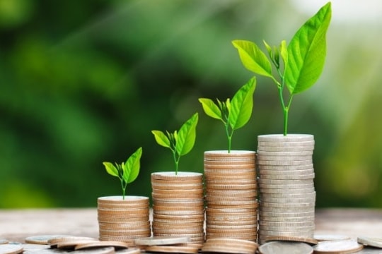 Lịch chốt quyền cổ tức tuần 17-21/2: HGM, PMC và EPH công bố kế hoạch trả cổ tức khủng