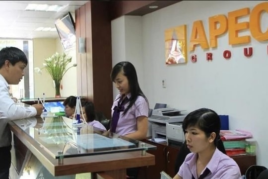 Doanh nghiệp từng bị thao túng cổ phiếu muốn mở rộng sang lĩnh vực giáo dục