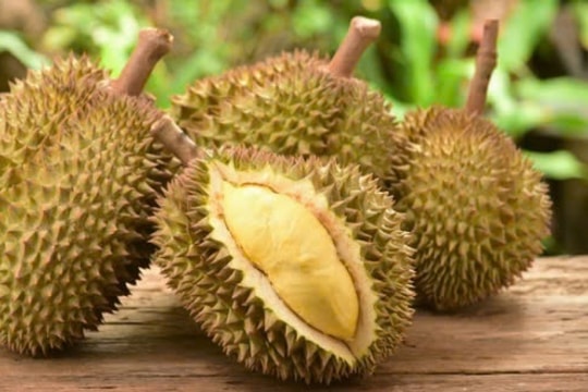 Giá sầu riêng hôm nay 19/2/2025: Thương lái tranh mua đẩy giá sầu riêng lên cao