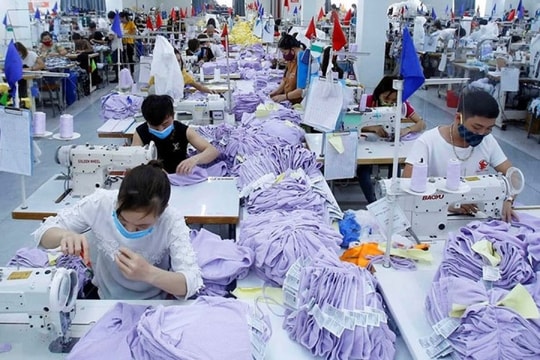 Ngành dệt may 2025: Tăng trưởng chậm lại do áp lực đơn hàng nhỏ và giá thấp
