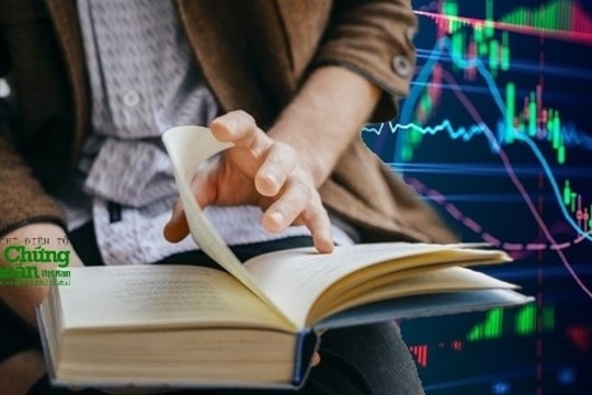 Đầu tư theo Sharpe Ratio: Chiến lược giúp cân bằng lợi nhuận và rủi ro