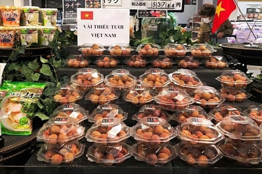 Xuất khẩu Việt Nam sang Nhật Bản bùng nổ: Đâu là mặt hàng xuất khẩu “hái ra tiền”?