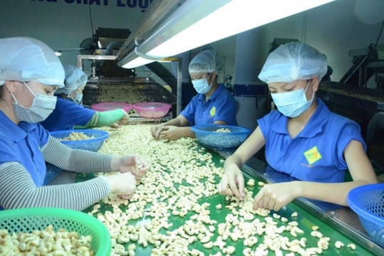 Lafooco (LAF) dự chi 23 tỷ đồng trả cổ tức, phần lớn chảy vào túi Tập đoàn PAN