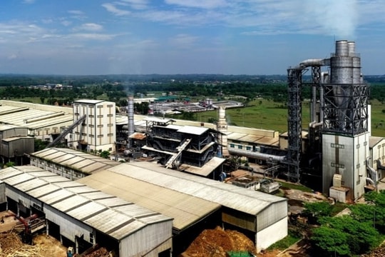 Doanh thu tăng mạnh, Gỗ MDF VRG - Quảng Trị chuyển lỗ thành lãi