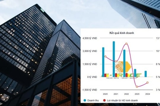 Gilimex (GIL) báo lãi quý 4/2024 giảm mạnh, doanh thu lao dốc