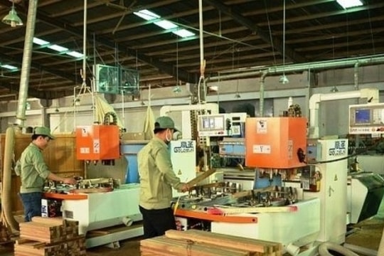 Phú Tài (PTB) tiếp tục đóng cửa một nhà máy chế biến gỗ tại Bình Định