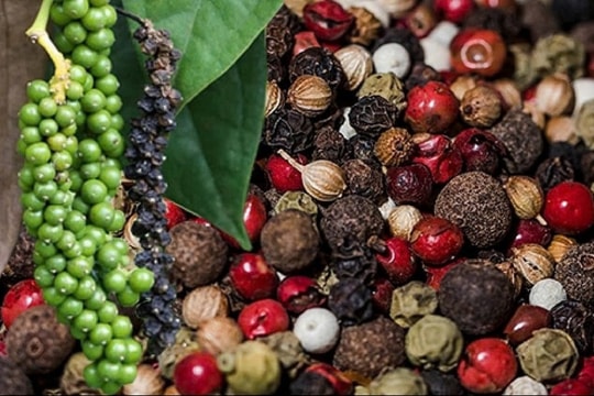 Dự báo giá tiêu ngày 23/2/2025: Đà giảm có tiếp tục hay thị trường sẽ phục hồi?