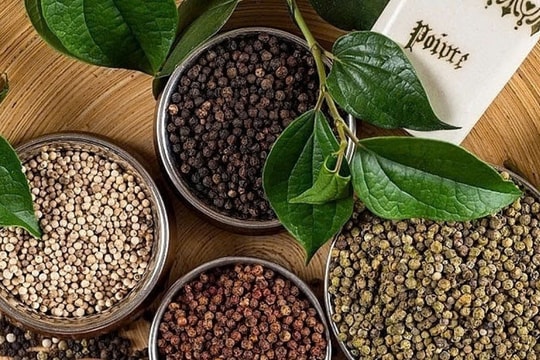 Giá tiêu hôm nay 23/2/2025: Neo ở mức cao