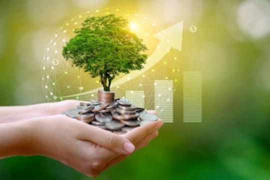 Lịch chốt quyền cổ tức tuần từ 24-28/2: REE, SHB, PSD