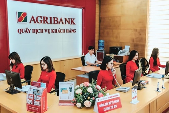 Agribank tuyển dụng kiểm toán viên nội bộ tại Hà Nội, TP.HCM, Đà Nẵng, Cần Thơ