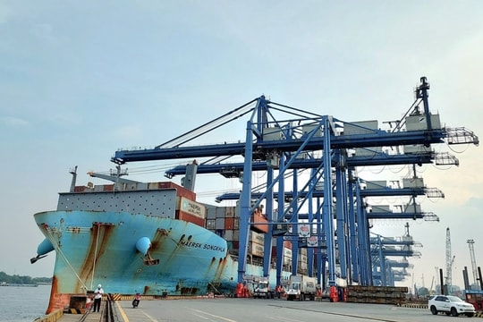 Vị phạm về thuế, Cảng Cam Ranh (CCR) bị xử phạt và truy thu gần 230 triệu đồng