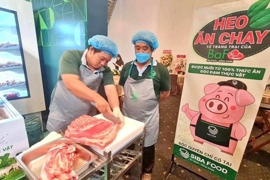 VNDirect điều chỉnh khuyến nghị với cổ phiếu của "ngôi sao mới nổi" trong mô hình 3F