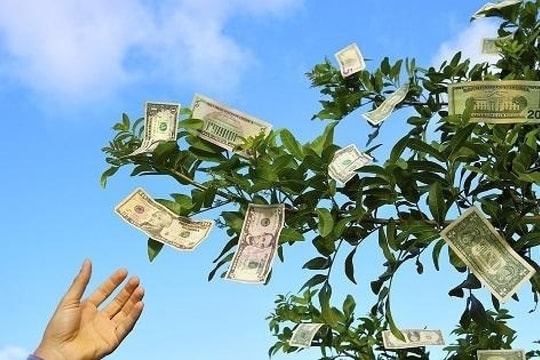 Lịch chốt quyền trả cổ tức bằng tiền trong tháng 3, tỷ lệ cao nhất lên tới 30%