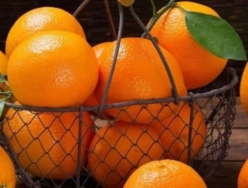 Loại quả mang "phép lạ" của Mặt Trời, ăn hằng ngày giúp hệ thống tiêu hóa khỏe mạnh, làn da căng bóng mịn màng