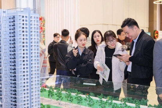 Hanoi Melody Residences pháp lý vững chắc, giá tốt bậc nhất nội đô