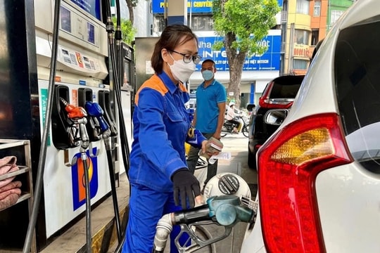 Giá xăng dầu hôm nay 28/2/2025: Xăng RON 95 giảm, dầu Brent và WTI tiếp tục tăng vọt