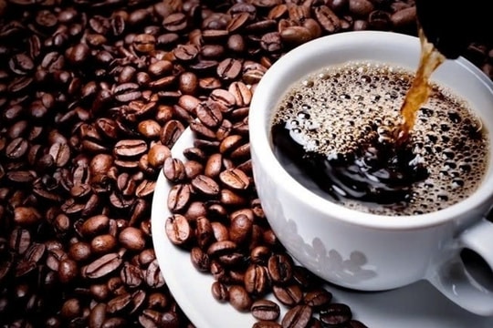 Dự báo giá cà phê ngày 1/3/2025: Đà phục hồi có bền vững?
