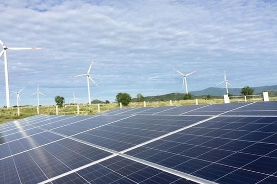 Lộ diện cổ đông lớn đứng sau thương vụ 45 tỷ đồng tại TEG