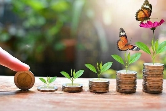 Lịch chốt quyền trả cổ tức bằng tiền tuần từ ngày 3-7/3: DHC, PDN, HDB