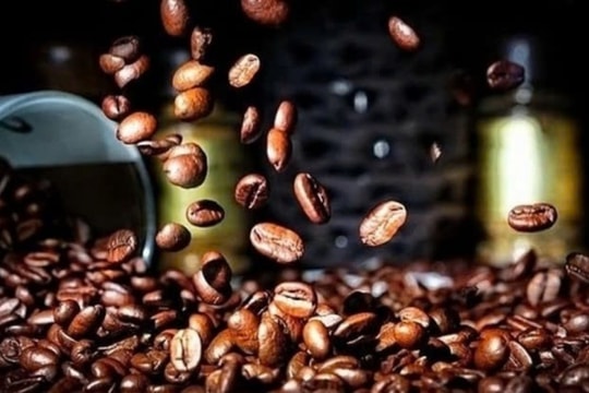 Thị trường cà phê: Giá cao kỷ lục, xuất khẩu lập đỉnh mới