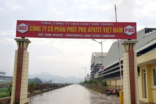 Một doanh nghiệp gây sốc với tỷ lệ chia cổ tức dự kiến lên tới 95%