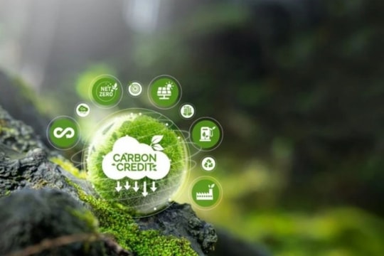 Bộ Tài chính đề xuất miễn thuế cho nhân lực công nghệ cao và thu nhập từ tín chỉ carbon