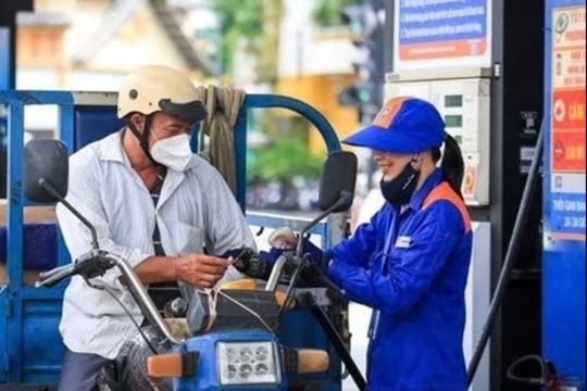 Giá xăng dầu hôm nay 11/3/2025: Xăng giảm mạnh, dầu WTI và Brent lao dốc