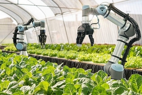 Giá dầu, vàng, nông sản "nhảy múa" trong quý I/2025: Điều gì đang xảy ra?