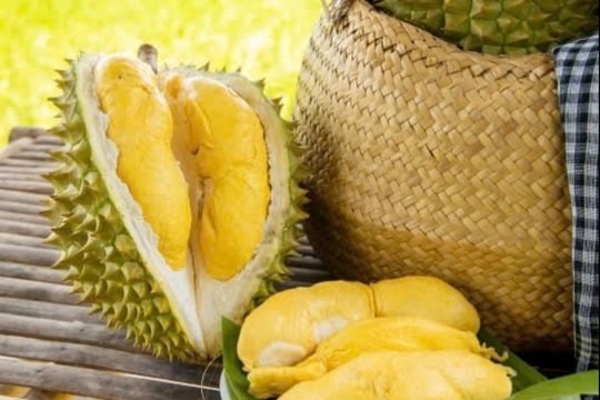 Giá sầu riêng hôm nay 13/3/2025: Đi ngang, nông dân lo ngại giá giảm khi vào chính vụ