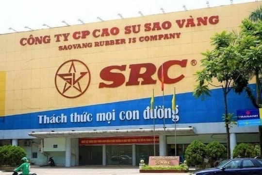 Lợi nhuận Cao su Sao Vàng (SRC) sau kiểm toán chênh hơn 21%, công ty giải trình thế nào?