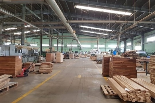 Khó khăn bủa vây "vua gỗ" một thời