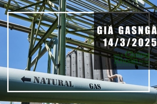 Giá gas hôm nay 14/3/2025: Liệu còn tiếp tục hạ nhiệt, dự báo sắp chạm đáy?