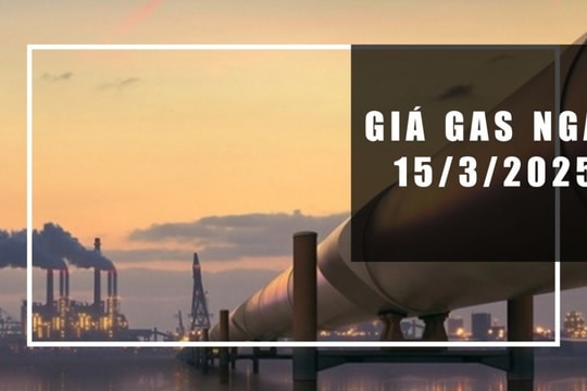 Giá gas hôm nay 15/3/2025: Liệu đã chạm đáy hay còn tiếp tục lao dốc?