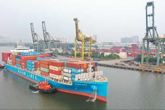 Doanh nghiệp vận tải biển đẩy mạnh mở rộng đội tàu, sẵn sàng đón vận hội mới