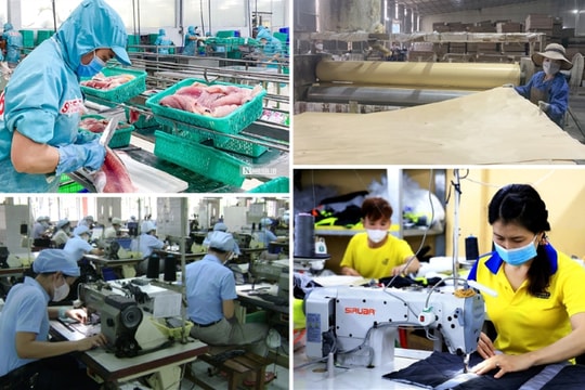 Hướng dẫn sử dụng kinh phí hỗ trợ doanh nghiệp tư nhân kinh doanh bền vững