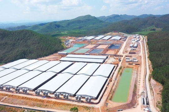 BAF Việt Nam và chiến lược "đánh nhanh, thắng nhanh" trong lĩnh vực M&A