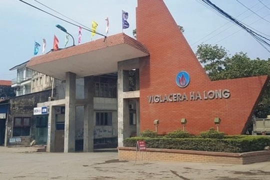 Thành viên Hội đồng quản trị Viglacera Hạ Long nộp đơn từ nhiệm trước thềm đại hội