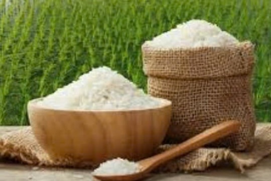 Giá lúa gạo hôm nay 18/3/2025: Duy trì ổn định, xuất khẩu khởi sắc