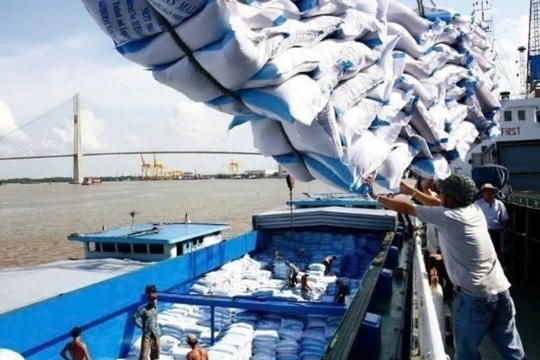 Xuất khẩu gạo Việt Nam khởi sắc, giá đang trên đà phục hồi