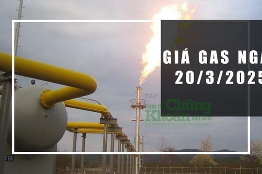 Giá gas hôm nay 20/3/2025: Tiếp tục giảm sâu, xu hướng sắp tới ra sao?